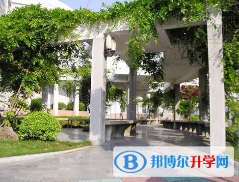 合肥第三中學2023年地址在哪里 