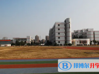 武漢新城區中考2022分數線一覽