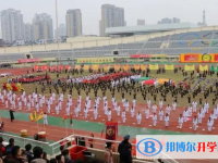 溫州市白鹿外國語高級中學(xué)2025年招生計劃