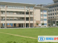 2025宜賓中考?xì)v史滿分是多少？