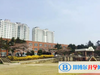 2025新鄉中考語文滿分是多少？