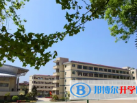 2025日照中考數(shù)學(xué)滿分是多少？