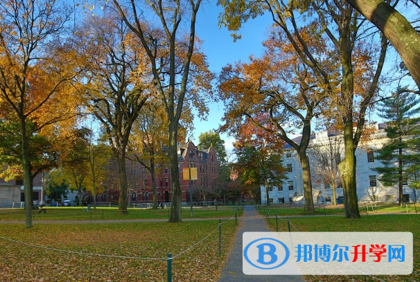2023晉城市中考語文滿分是多少?