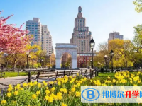 2025阜陽中考歷史滿分是多少？