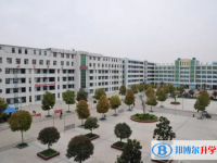 利辛啟明高級中學(xué)、啟明東方中學(xué)錄取分數(shù)線（2023年參考）