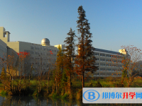 2025大慶市中考語文滿分是多少？