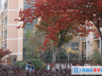安徽臨泉第一中學(xué)2025年招生計劃