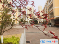 安徽臨泉第一中學(xué)2025年排名