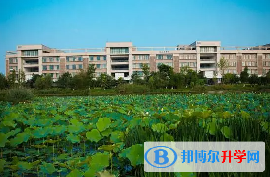 2022青島西海岸新區(qū)實(shí)驗(yàn)高中錄取分?jǐn)?shù)線(2023參考)
