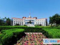 巨鹿中學錄取分數(shù)線(2023年參考)