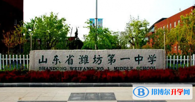濰坊一中錄取分數線(2023年參考)