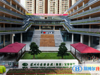2025深圳市外國(guó)語學(xué)校招生簡(jiǎn)章