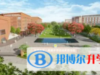 2025深圳市第二實驗中學招生計劃 招生人數是多少(附要求、條件、對象)