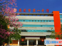 2025東莞市第一中學(xué)招生計劃 招生人數(shù)是多少(附要求、條件、對象)