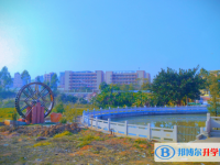 2025東源縣東源中學(xué)招生計(jì)劃 招生人數(shù)是多少(附要求、條件、對(duì)象)