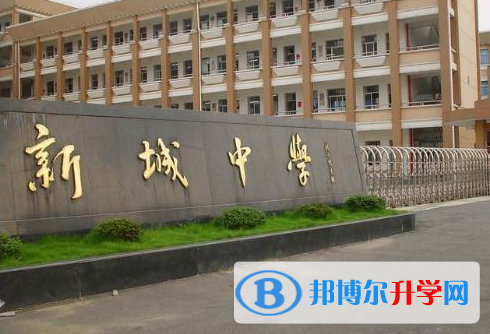 2023廣州市番禺區洛溪新城中學招生計劃 招生人數是多少(附要求、條件、對象)