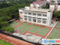 廣州市番禺區(qū)洛溪新城中學(xué)地址，乘車路線