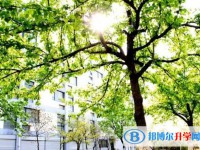 南京師范大學附屬揚子中學怎么樣、好不好