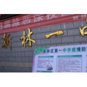 新林區第一中學