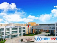2025綏化市第七中學招生計劃 招生人數是多少(附要求、條件、對象)