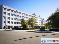 2025綏化市第二中學招生計劃 招生人數是多少(附要求、條件、對象)