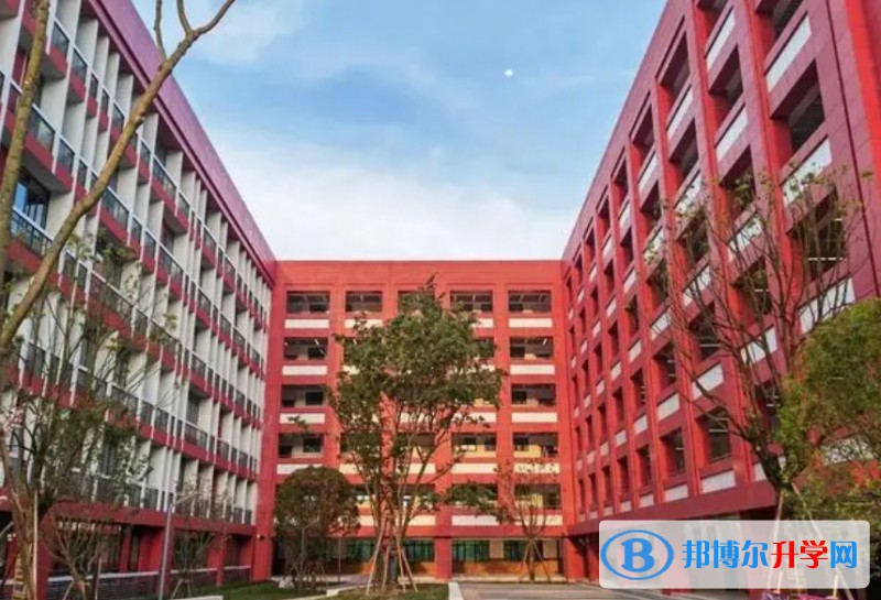 2024重慶市巴蜀科學(xué)城中學(xué)校招生計劃 招生人數(shù)是多少(附要求、條件、對象)