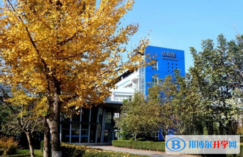 2024石家莊市第三中學招生計劃 招生人數是多少(附要求、條件、對象)