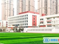 2025涉縣光華中學招生計劃 招生人數(shù)是多少(附要求、條件、對象)