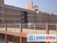2025廣平縣第一中學招生計劃 招生人數(shù)是多少(附要求、條件、對象)