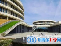 2025邯鄲市莫恩中學招生計劃 招生人數(shù)是多少(附要求、條件、對象)