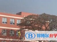 成安縣第三中學招生簡章2025年