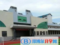 2025成安縣第三中學招生計劃 招生人數是多少(附要求、條件、對象)