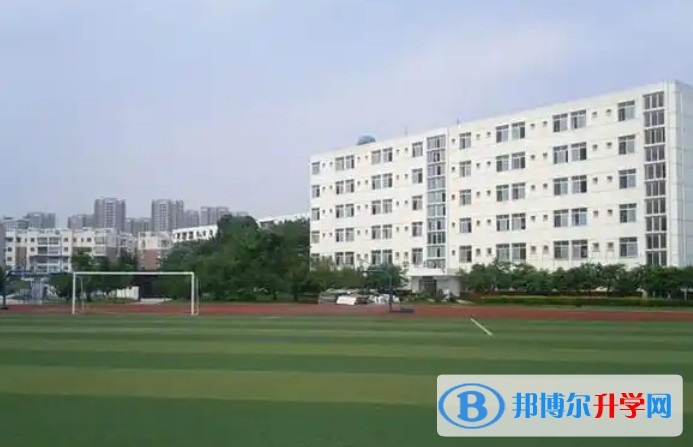 2025龍泉二中招生計劃 招生人數是多少(附要求、條件、對象)