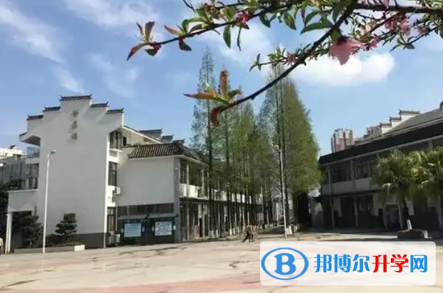 2025龍泉師一招生計(jì)劃 招生人數(shù)是多少(附要求、條件、對(duì)象)