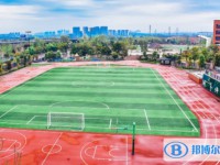 2025實外五龍山校區(qū)招生計劃 招生人數(shù)是多少(附要求、條件、對象)