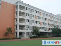 2025石橋中學(xué)招生計(jì)劃 招生人數(shù)是多少(附要求、條件、對(duì)象)