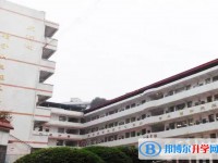 2025三星中學(xué)招生計(jì)劃 招生人數(shù)是多少(附要求、條件、對(duì)象)