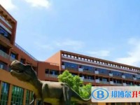 自貢市大安區嘉祥外國語學校怎么樣、好不好