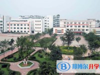 2025四川省富順縣趙化中學校招生計劃 招生人數是多少(附要求、條件、對象)