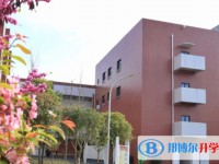 2025綿陽市豐谷中學招生計劃 招生人數是多少(附要求、條件、對象)