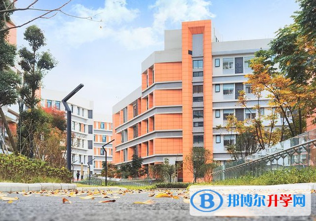 2025綿陽(yáng)市育英高級(jí)中學(xué)招生計(jì)劃 招生人數(shù)是多少(附要求、條件、對(duì)象)