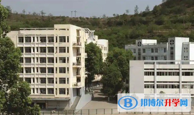 2025廣元市中學招生計劃 招生人數是多少(附要求、條件、對象)